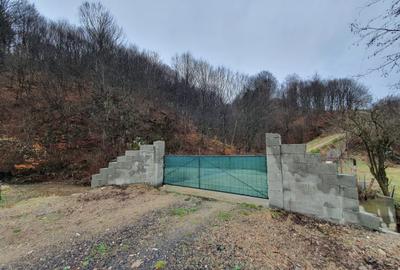 Teren agricol extravilan de 16400 mp, în Poiana Mărului - 11