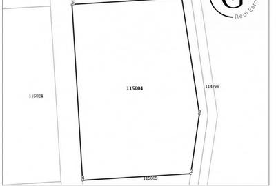 Teren agricol intravilan de 13664 mp, în Corbu - 12
