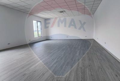 Spațiu industrial, de 572 mp, în Chiajna - 3