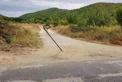 Teren de 2500 mp, în Balotești - 4