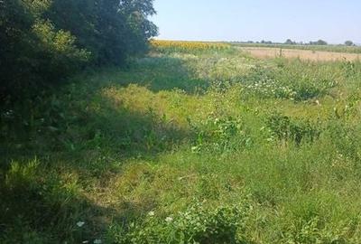 Teren de 1800 mp, în Țibucani