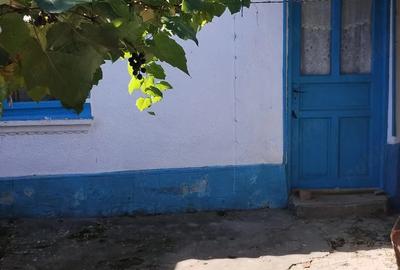 Casă cu Teren 1550 Mp în Somova - 2