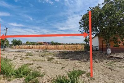 Teren de 2500 mp, în Cenad