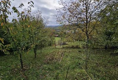 Teren Construcții intravilan de 2175 mp, în Borhanci - 9
