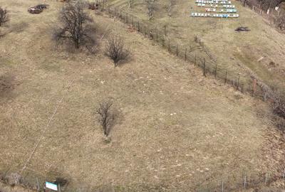 Teren Construcții intravilan de 1220 mp, în Prundu Bârgăului - 4