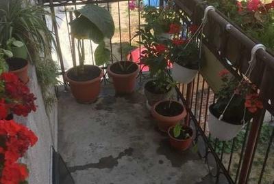 Apartament cu 3 camere decomandat în Ultracentral - 3