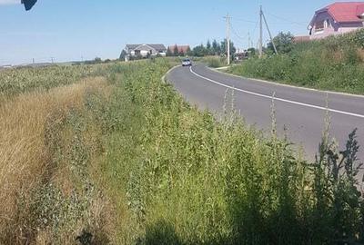 Teren de 4600 mp, în Central