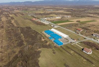 Teren de 7194 mp, în Păltiniș - 14