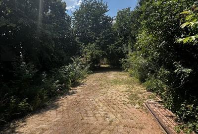Casă cu 4 camere în Lipia - 2