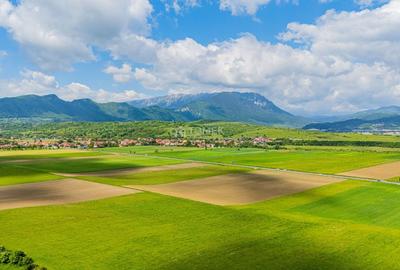 Teren agricol extravilan de 5800 mp, în Tohanu Nou - 2