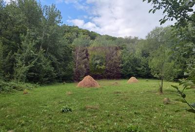 Teren de 15000 mp, în Telega