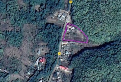 Casă cu Teren 3845 Mp în Leordeni