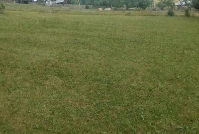 Teren de 2900 mp, în Panaci