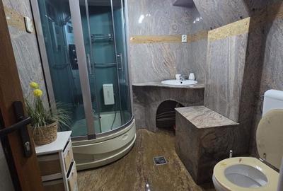 Apartament cu 3 camere decomandat în Spitalul Județean - 11