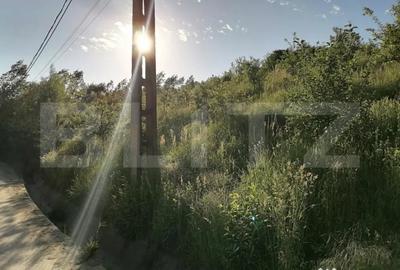 Teren de 14400 mp, în Gemenea-Brătulești - 7