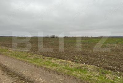 Teren de 15500 mp, în Tărtășești