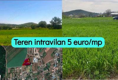 Teren de 7000 mp, în Telița - 5