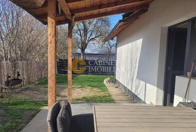 Casă individuală cu 3 camere cu Canalizare în Lunca Cetățuii - 8