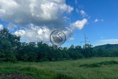 Teren agricol intravilan de 3600 mp, în Gura Vitioarei - 3