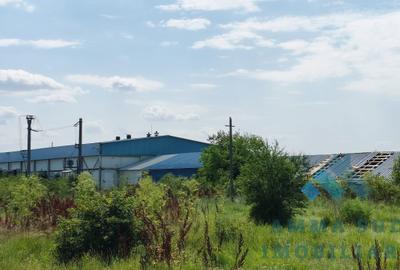 Spațiu industrial, de 1,000 mp, în Sud - 5