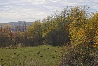 Teren de 2500 mp, în Vitioara de Sus - 1