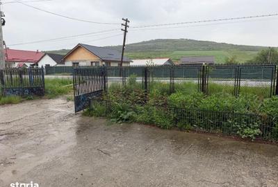 Casă cu 9 camere cu Teren 1575 Mp în Borșa - 13