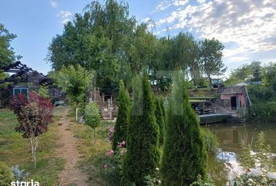 Teren de 6000 mp, în Ilișești