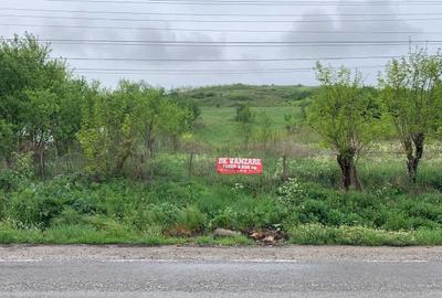 Teren de 3856 mp, în Corpadea