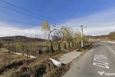 Teren de 26908 mp, în Iedera - 1