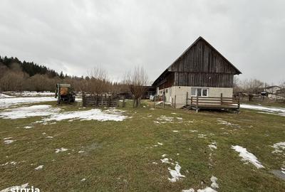 Teren de 3600 mp, în Horodnic - 9