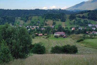 Teren de 6804 mp, în Șimon - 4