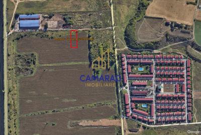 Teren Construcții intravilan de 2375 mp, în Popești-Leordeni - 2