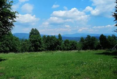 Teren de 4500 mp, în Albești - 5