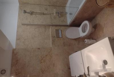 Apartament cu 2 camere decomandat în Turnișor - 6