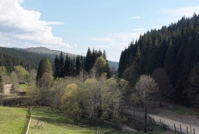 Spațiu comercial, în Valea Doftanei - 5