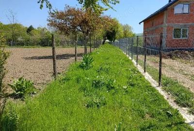 Teren de 3050 mp, în Plopu - 2