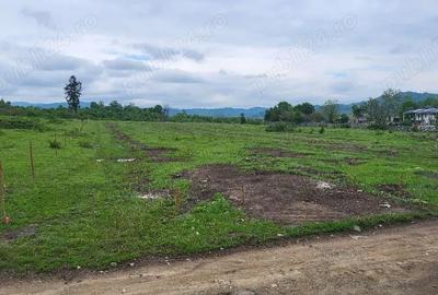 Teren de 7500 mp, în Voila - 8