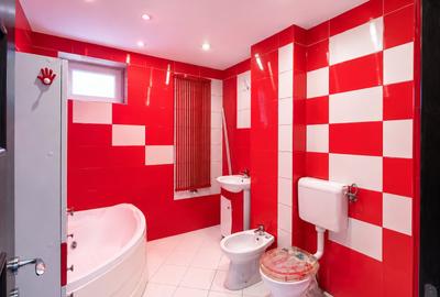 Apartament cu 2 camere semidecomandat, mobilat în Rahova - 11