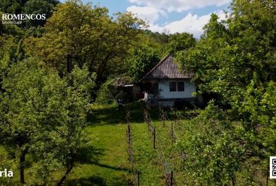 Casă cu 2 camere în Oprești - 11