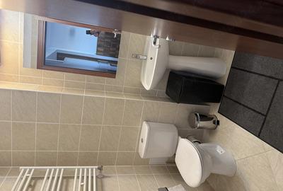 Apartament cu 2 camere decomandat în Colentina - 3