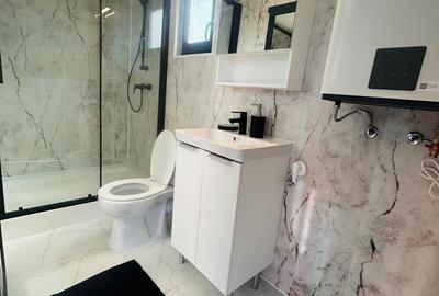Casă cu 2 camere în Drăguș - 16