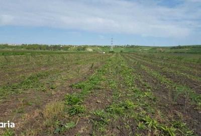 Teren de 7400 mp, în Jucu