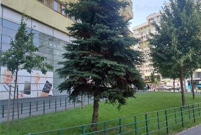 Apartament cu 4 camere decomandat în Pantelimon - 3