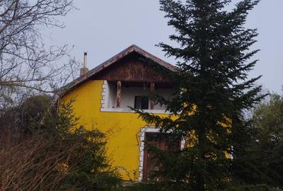 Casă individuală cu 36 camere cu Teren 30000 Mp în Tineretului - 6