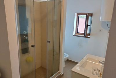 Casă cu 3 camere în Teiu