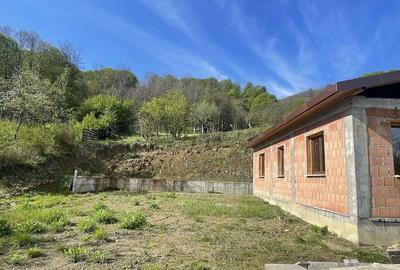 Casă cu Teren 3600 Mp în Vlădești - 3