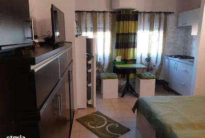 Garsonieră în Elisabetin