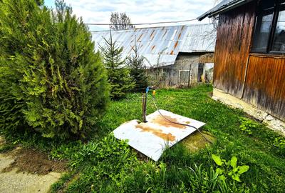 Casă individuală cu 4 camere cu Teren 2500 Mp în Podul Vadului - 8