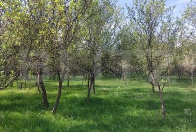 Teren în Brănișca - 2
