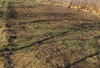 Casă cu 3 camere cu Teren 2000 Mp în Vulturești